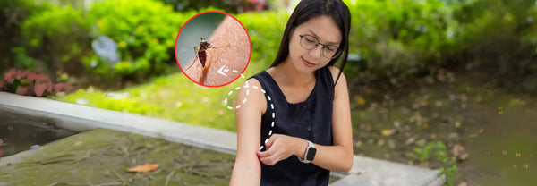 Person scratching a mosquito bite on their arm at dusk outdoors.